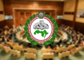 المطالبة بموقف عربي-إفريقي لوقف العدوان الصهيوني على غزة