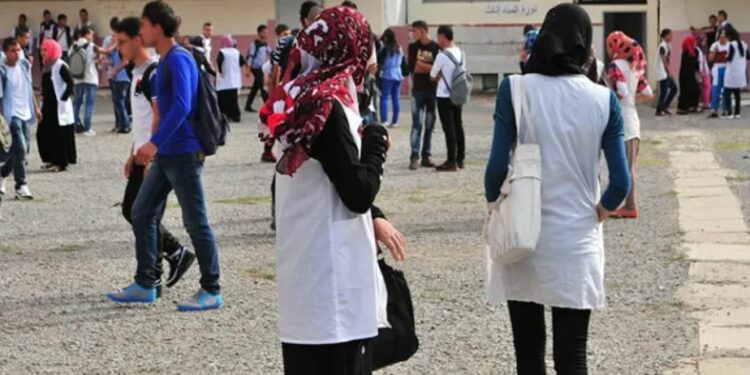 الرئيس تبون يؤكد على أهمية التكفل بالتلاميذ المعيدين