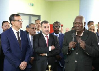 وزير النفط النيجري: نعول على دعم الجزائر لإطلاق مشاريع طاقوية