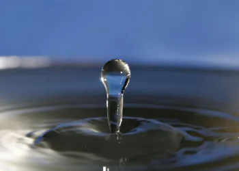 الثروة الزرقاء.. حصن الجزائر المنتصرة