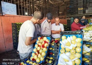 انطلاق بيع التفاح من الفلاح إلى تجار التجزئة