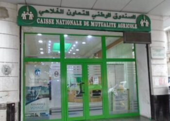 اتفاقية شراكة بين صندوق التعاون الفلاحي ونادي المقاولين والصناعيين
