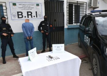 استرجاع 41 قطعة أثرية بقالمة