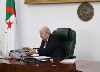 الرئيس تبون: الجزائر لم ولن تمنع الاستيراد