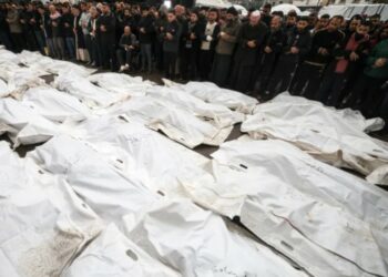 أكثر من 42 ألف شهيد في غزة