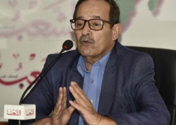 الجزائر تقود المعركة الدبلوماسية وتناضل من أجل فلسطين
