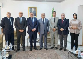مجموعة عمل لتعزيز مكانة الجزائر في الصناعة الأفريقية