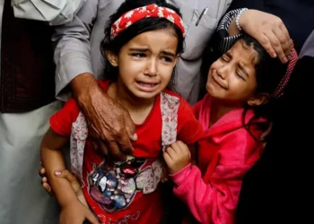 مقررة أممية: ما يجري في غزة جزء من خطة إبادة جماعية     