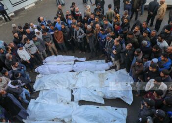 عشرات الشهداء والجرحى في مجزرة شمالي غزة