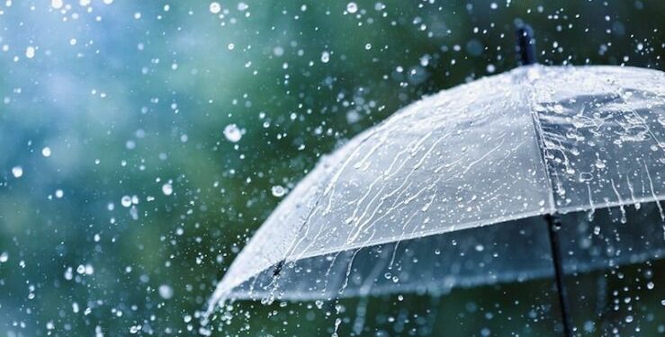 أمطار غزيرة بهذه الولايات اليوم