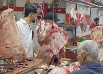 كيف تُخفّض أسعار اللحوم بالجزائر في 2025