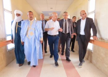 سايحي: تلقيح كل قاطني المناطق التي سجلت حالات الدفتيريا والملاريا