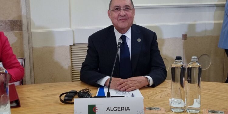 مراد: معالجة ظاهرة الهجرة غير الشرعية تتم عبر رؤية شاملة