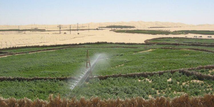 ثورة فلاحية بأبعاد إستراتيجية