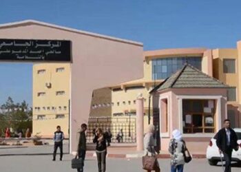 ملتقى حول دور مؤسسات النهوض باللغة العربية في النعامة