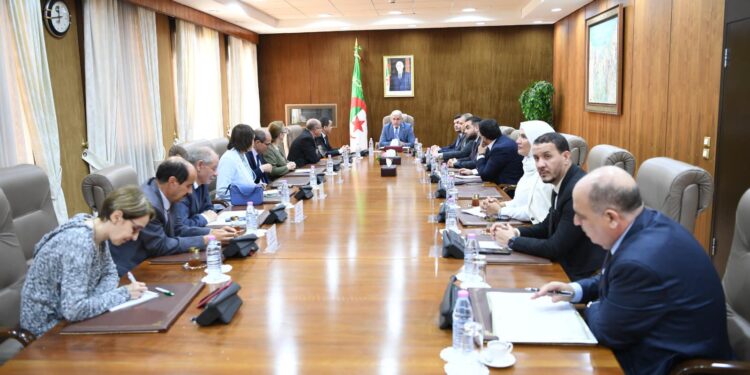 بوغالي يشيد بقرارات رئيس الجمهورية للتكفل بمرضى السرطان