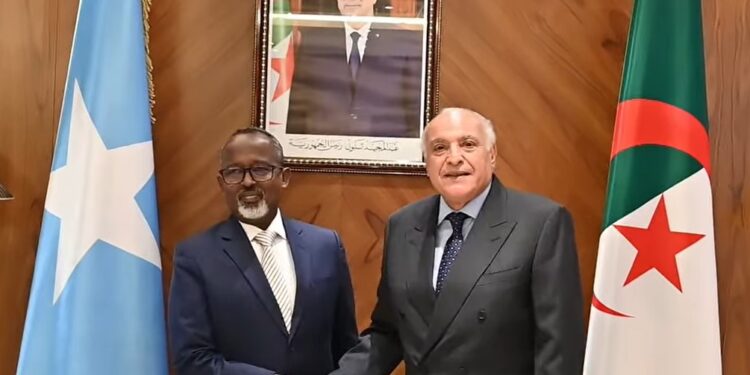 عطاف يستقبل المبعوث الخاص للرئيس الصومالي
