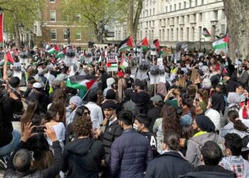 مسيرة حاشدة في إيرلندا دعما لفلسطين