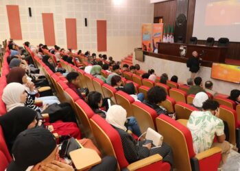 ممثلو مجالس الشباب الإفريقية يستعرضون تجارب بلدانهم