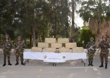 إحباط محاولة إدخال 12 قنطار كيف من الحدود مع المغرب