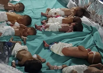 حياة نحو 8500 رضيع معرّضة للخطر في غزة