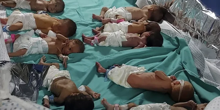 حياة نحو 8500 رضيع معرّضة للخطر في غزة