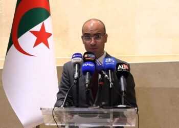 شايب: الجزائر ملتزمة بتعزيز التعاون الإفريقي المشترك في التحول الرقمي والذكاء الاصطناعي