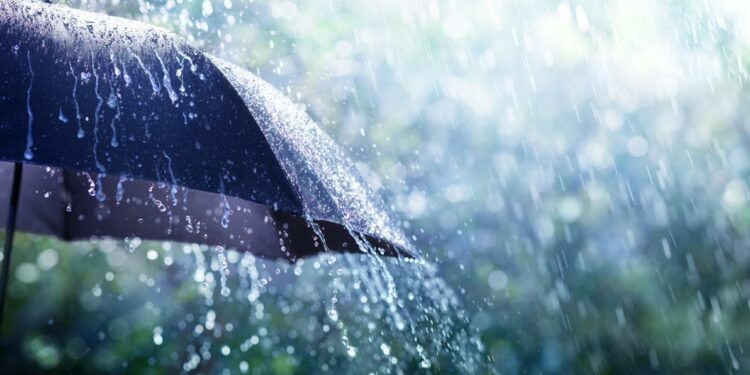 أمطار في هذه الولايات