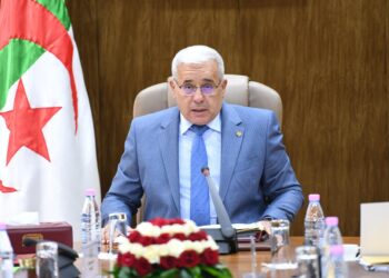 بوغالي: محاولة البرلمان الأوروبي التدخل في الشأن الداخلي للجزائر ممارسة مفضوحة
