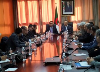 ورقة طريق لإنتاج أدوية جزائرية 100%