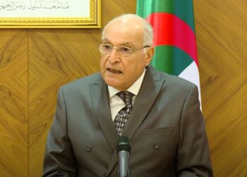 عطاف: الجزائر والكاميرون تسعيان من أجل نظام دولي أكثر عدلا