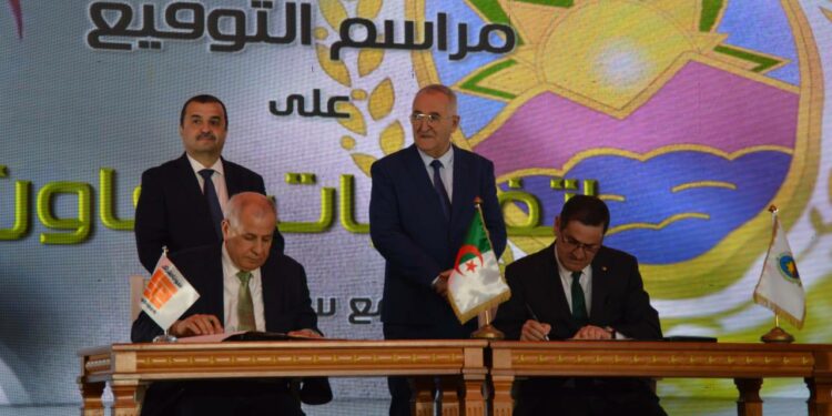 الجمارك الجزائرية تُوقّع اتفاقيات تعاون مع 4 قطاعات