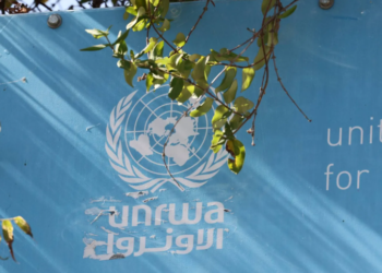 بدعوة من الجزائر.. مجلس الأمن الدولي يجتمع بشأن “الاونروا”