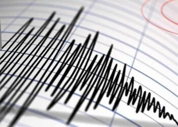 ابتكار مجمع آلي لأجهزة الاستكشاف الزلزالي والبحث عن النفط