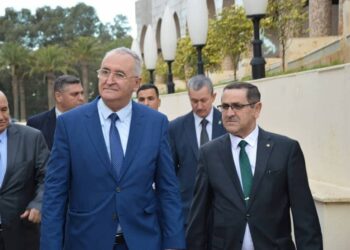 فايد يبرز دور الجمارك الفاعل في دعم نمو  الاقتصاد الوطني