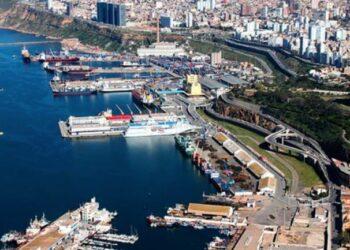 تصدير نحو مليون طن منتجات فلاحية من ميناء وهران