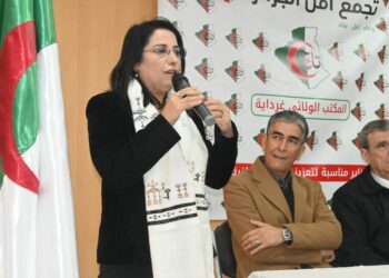 زرواطي: ما تفعله فرنسا يتعارض مع الأعراف الدبلوماسية