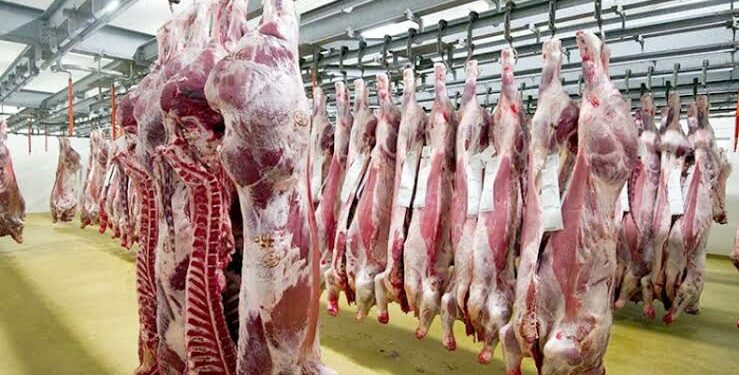 استيراد كميات ضخمة من اللحوم تحسبا لشهر رمضان