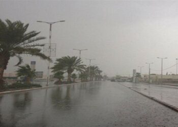 أمطار غزيرة بثلاث ولايات جنوبية