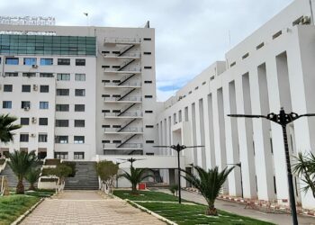 استرجاع 40 هكتارا من العقار الصناعي في 2024 ببرج بوعريريج