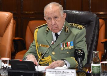 زيارة الفريق أول شنقريحة إلى الهند متواصلة