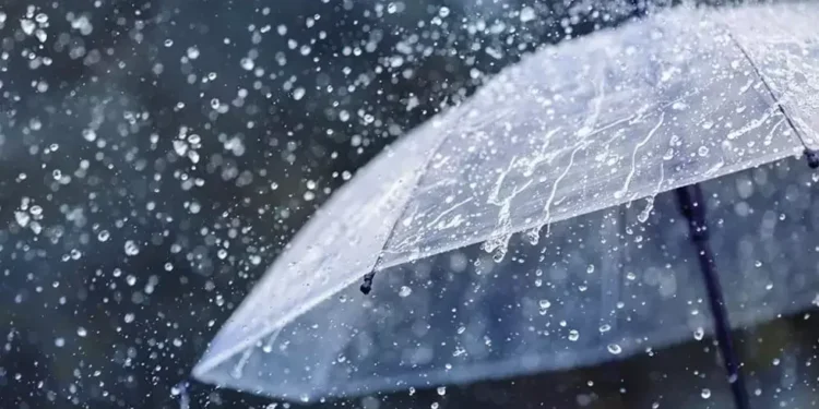 أمطار رعدية بهذه الولايات اليوم