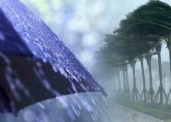 أمطار وزوابع رملية في هذه الولايات