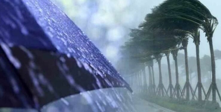 أمطار وزوابع رملية في هذه الولايات