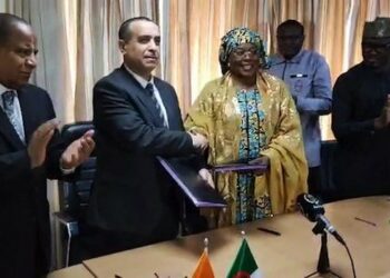 طاقة.. هدية الجزائر الى النيجر