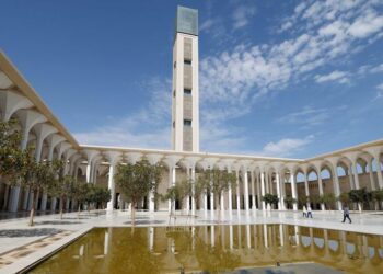 الشيخ القاسمي: جامع الجزائر مشروع متكامل وحضاري