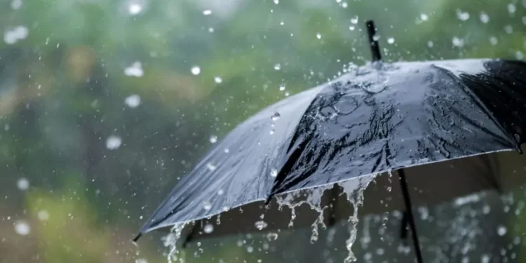 أمطار غزيرة بهذه الولايات