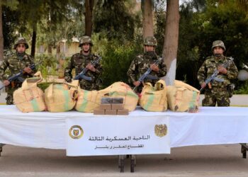 الجيش يحبط إدخال قناطير من الكيف