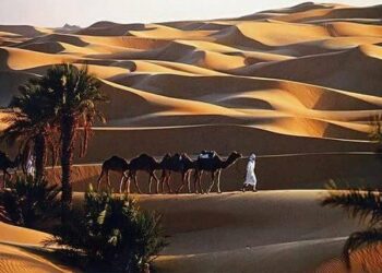 نحو فتح فرع لمجمع فندقة وسياحة وحمامات معدنية بأدرار