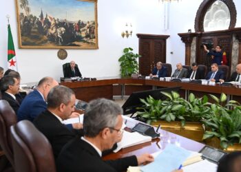 إطلاق استشارة دولية لاستيراد مليون رأس ماشية